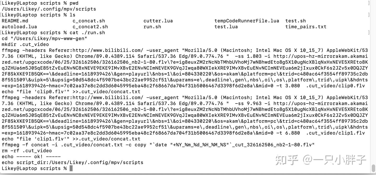 mpv播放器使用详解,mpv播放器安装与配置