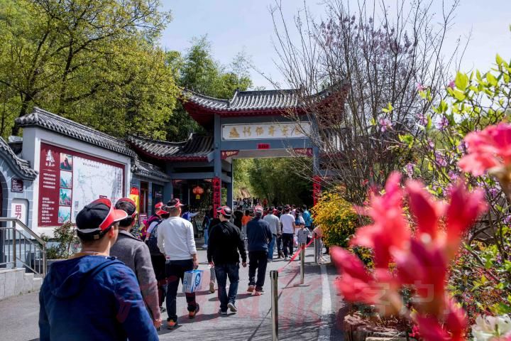 汝阳2020收入,接待游客人数和旅游综合收入