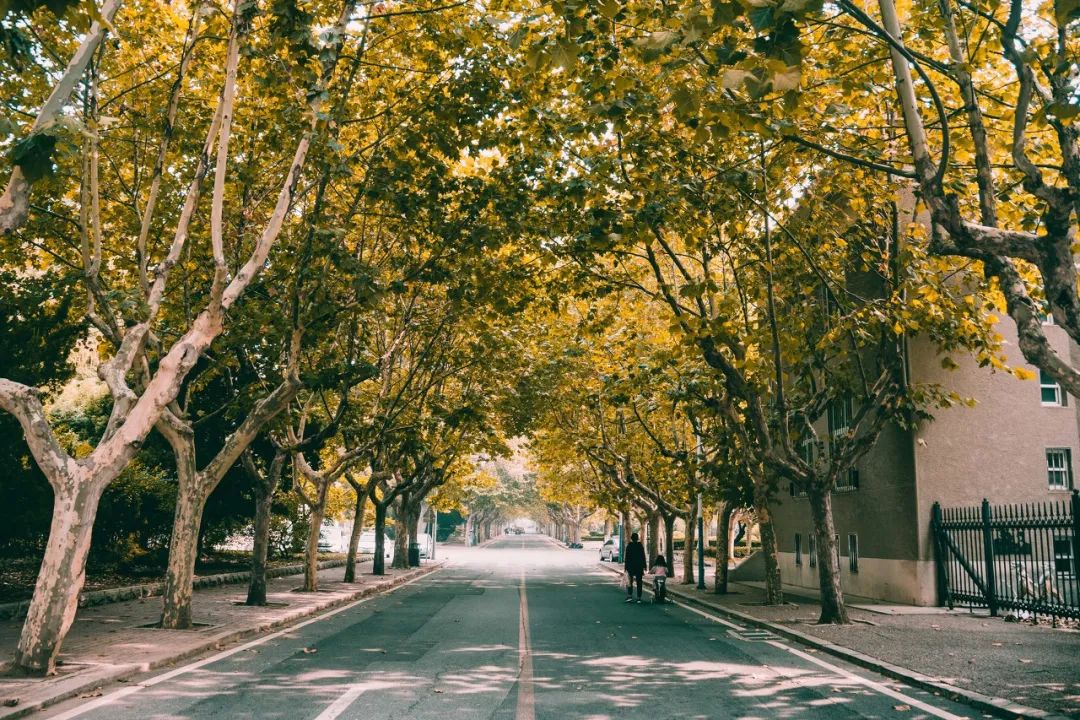 美过三亚!比厦门浪漫!大连这座海滨老城,去一次相当于环游世界