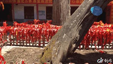 专治各种恐高症的玻璃栈道,少华山玻璃栈道旅游攻略