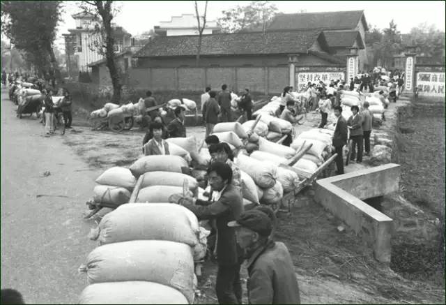 80年代场景农村交公粮,回忆从前农村交公粮