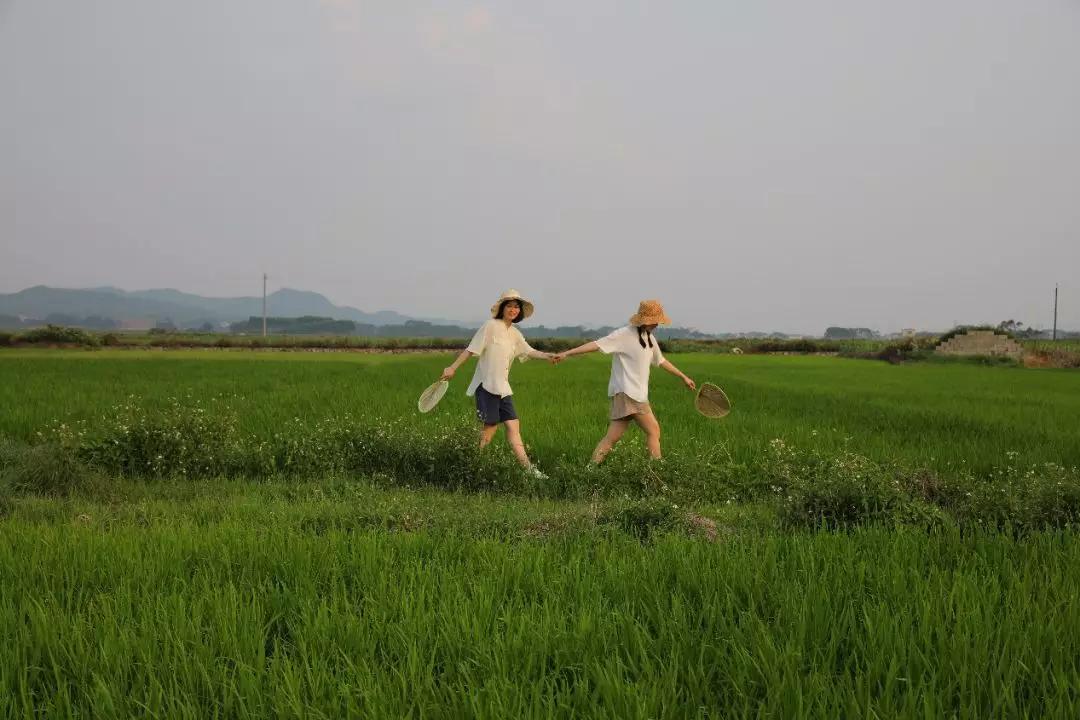 如何拍出原始森林的感觉,怎样拍出森林氛围感大片