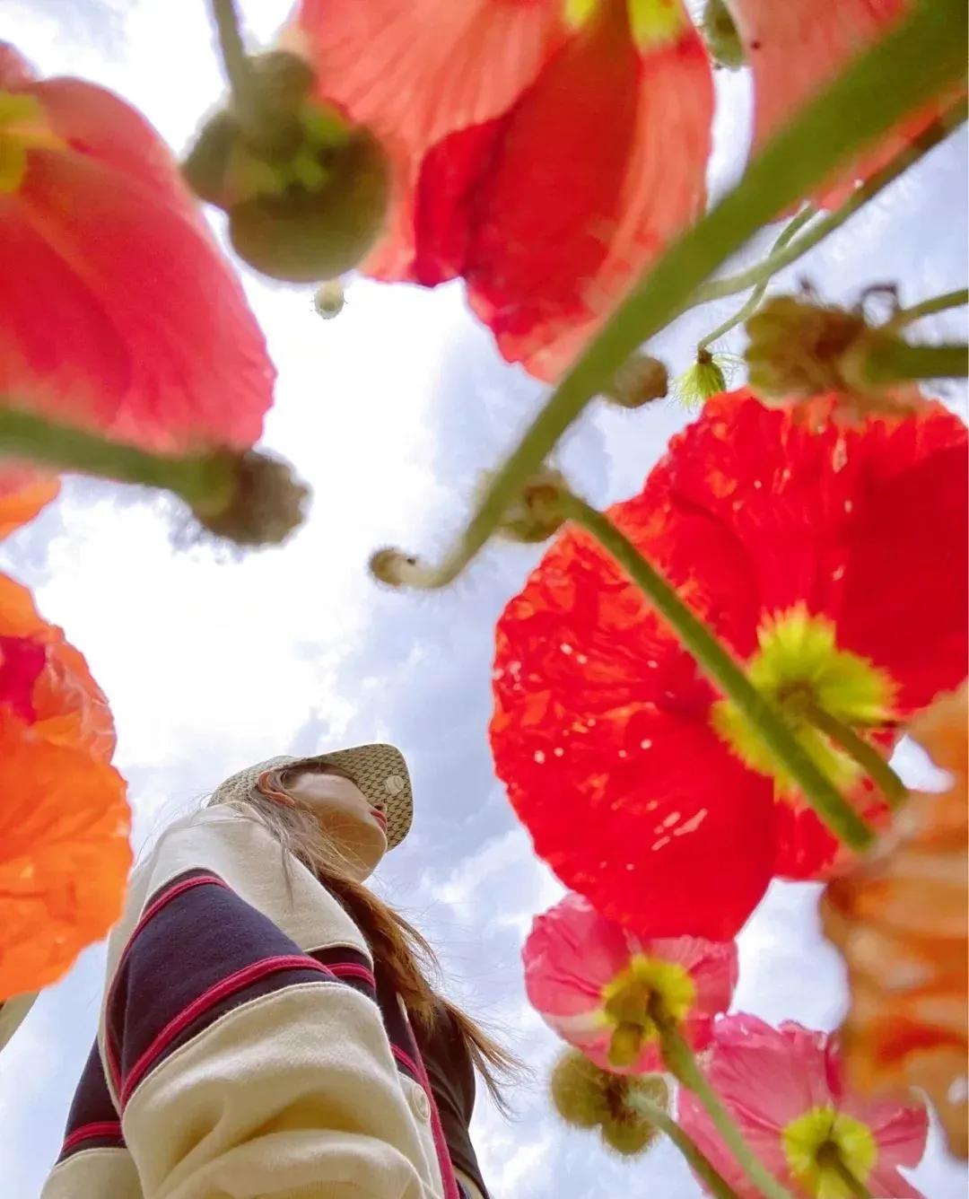 私藏拍照最好的地方,天津适合拍照又安静的地方