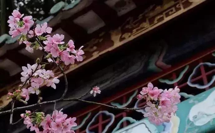 番禺好看的街景,番禺美丽的风光