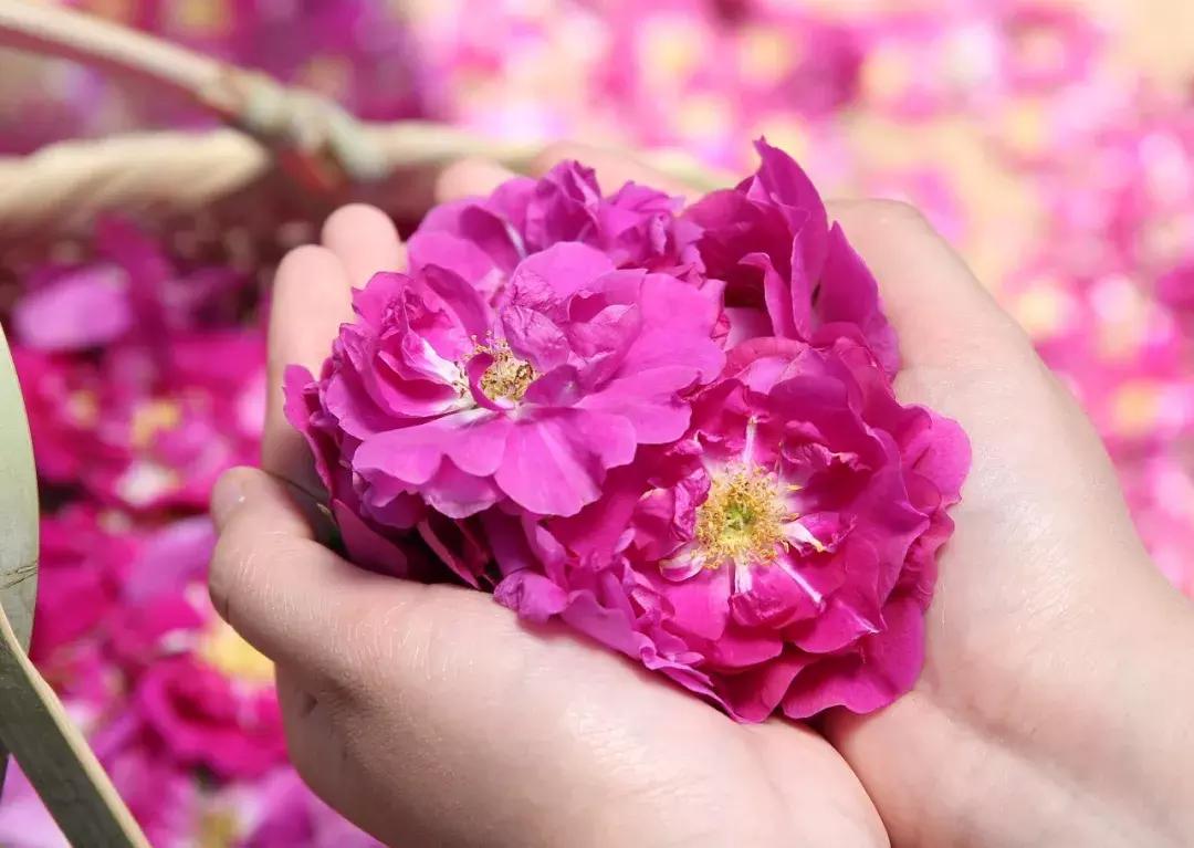 洁面乳使用时脸部有点刺痛,为什么洁面乳用完脸会刺痛