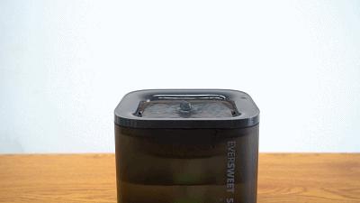 宠物饮水机“漏电”化身杨永信!你还敢让猫咪用它喝水吗?