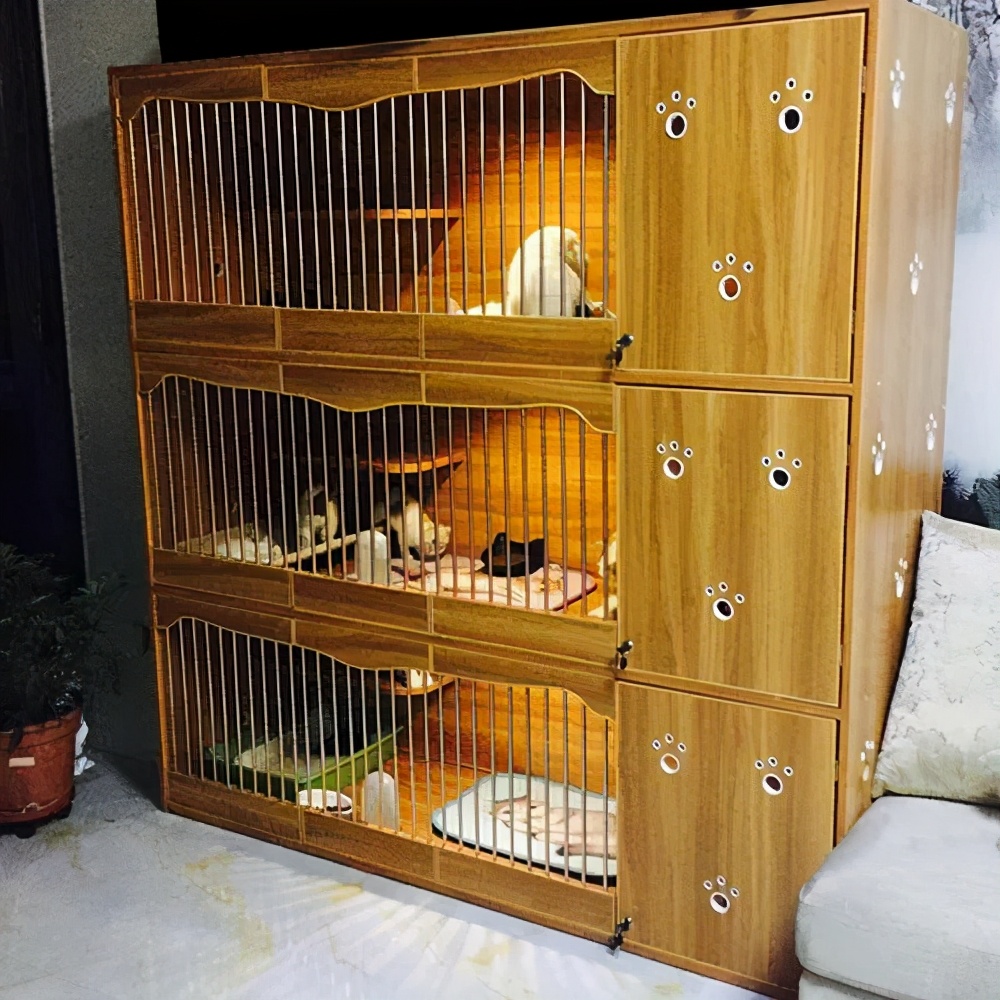 在西安卖猫赚钱,西安哪里卖猫卖得快