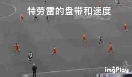 阿达马特劳雷英超,阿达玛特劳雷过人集锦