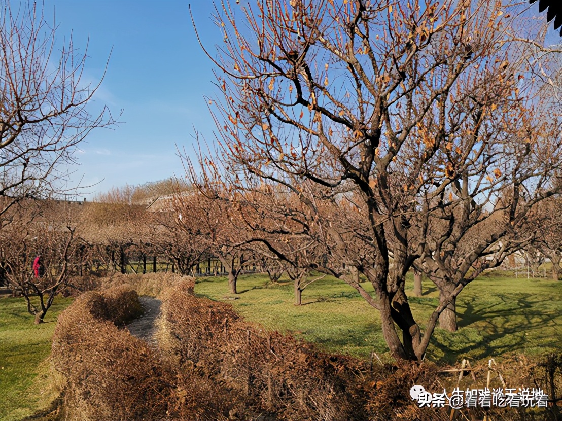 常家庄园游记,常家庄园游记视频