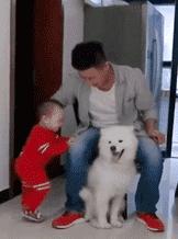 狗子吃醋女朋友,狗子喜欢女朋友怎么办