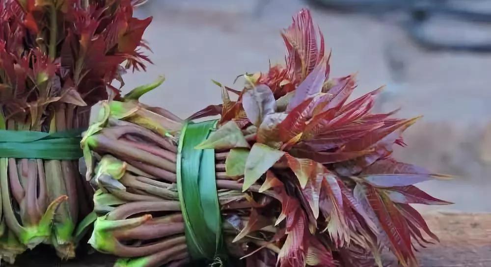 农村小伙回村创业,最适合在农村创业的项目有哪些