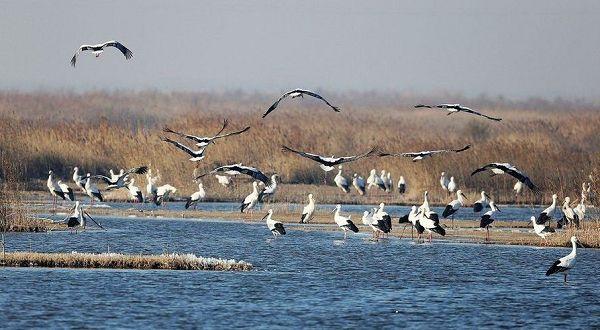 山东车牌号城市代号顺口溜,山东17个地级市车牌号