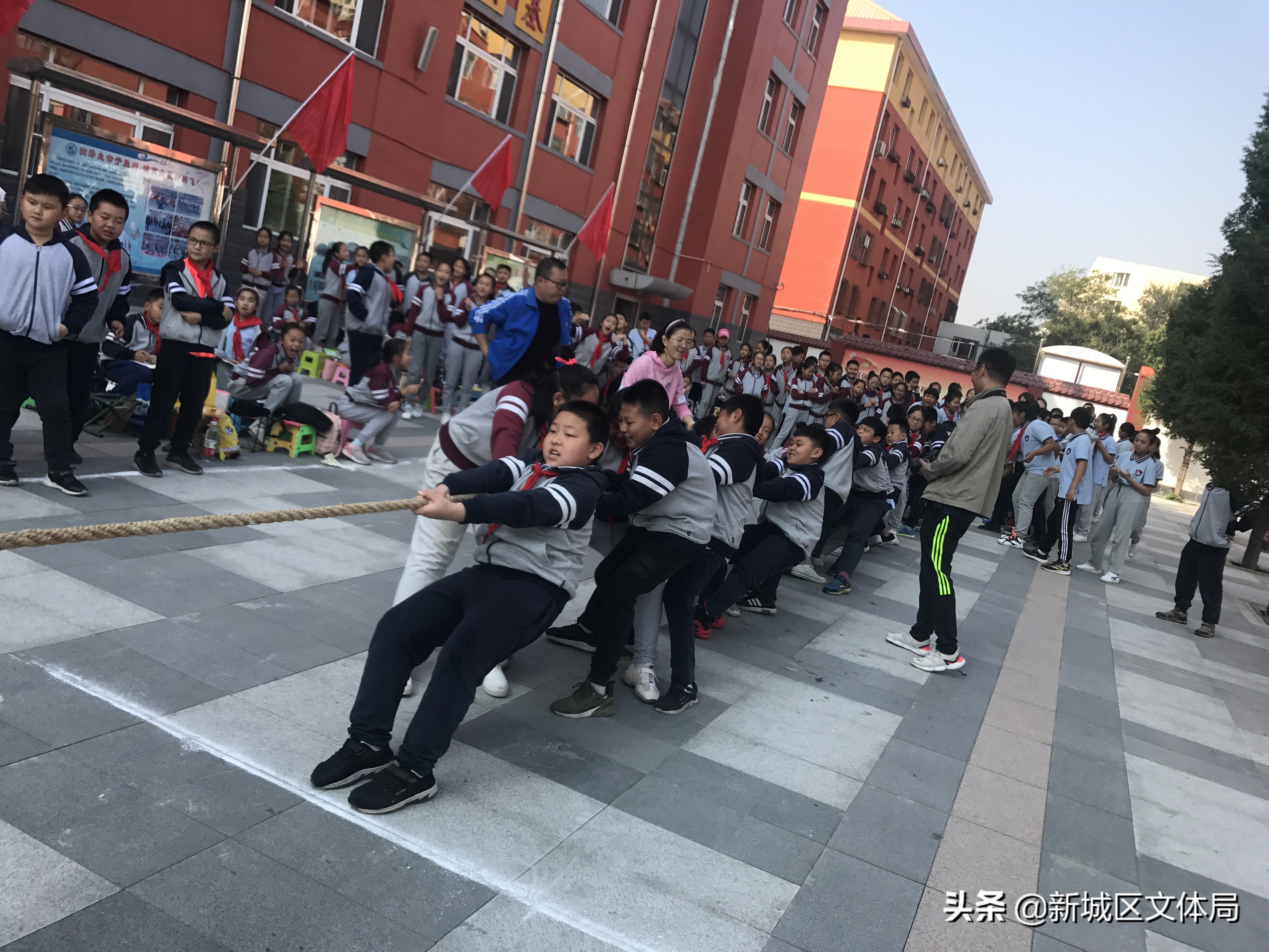 校园亲子运动会趣味活力满校园,亲子运动会妙趣横生萌娃乐翻天