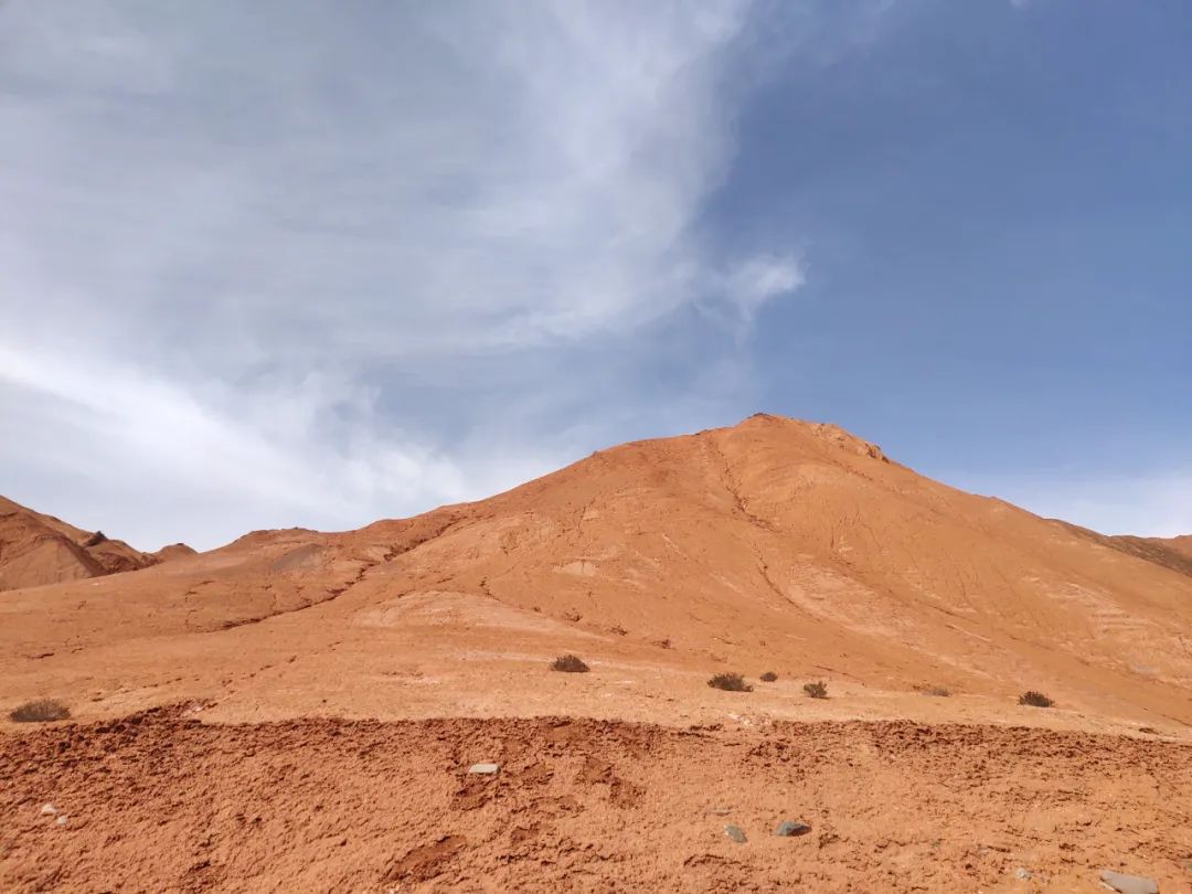 野生动物犯罪数额,收受野生动物量刑标准