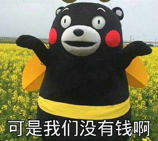 一分钟带你了解程序员视频,兼职打字员的100个骗局