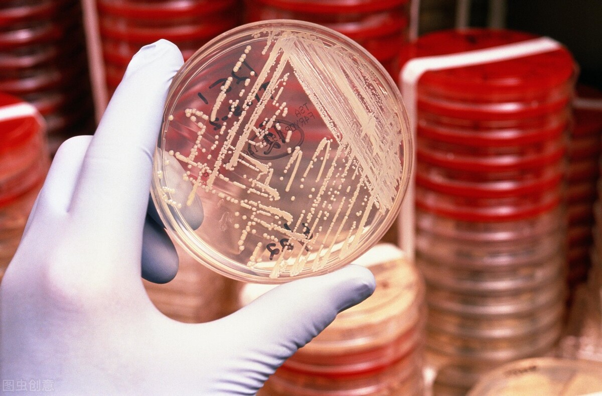 “阿莫西林”只对6类疾病有效，用对了是个宝，用错了就是害药