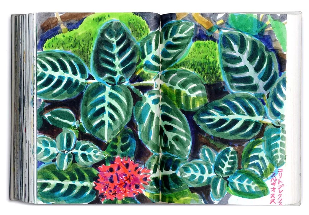 全球插画奖获奖作品集,全球插画大赛2019