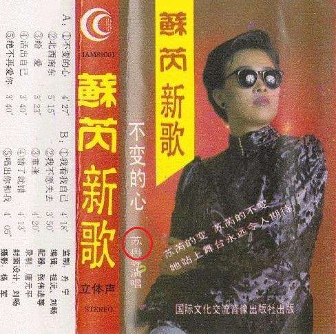 那英耿直,那英耿直访谈