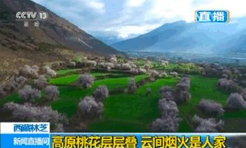 忆清明祖辈给我们留下了什么?