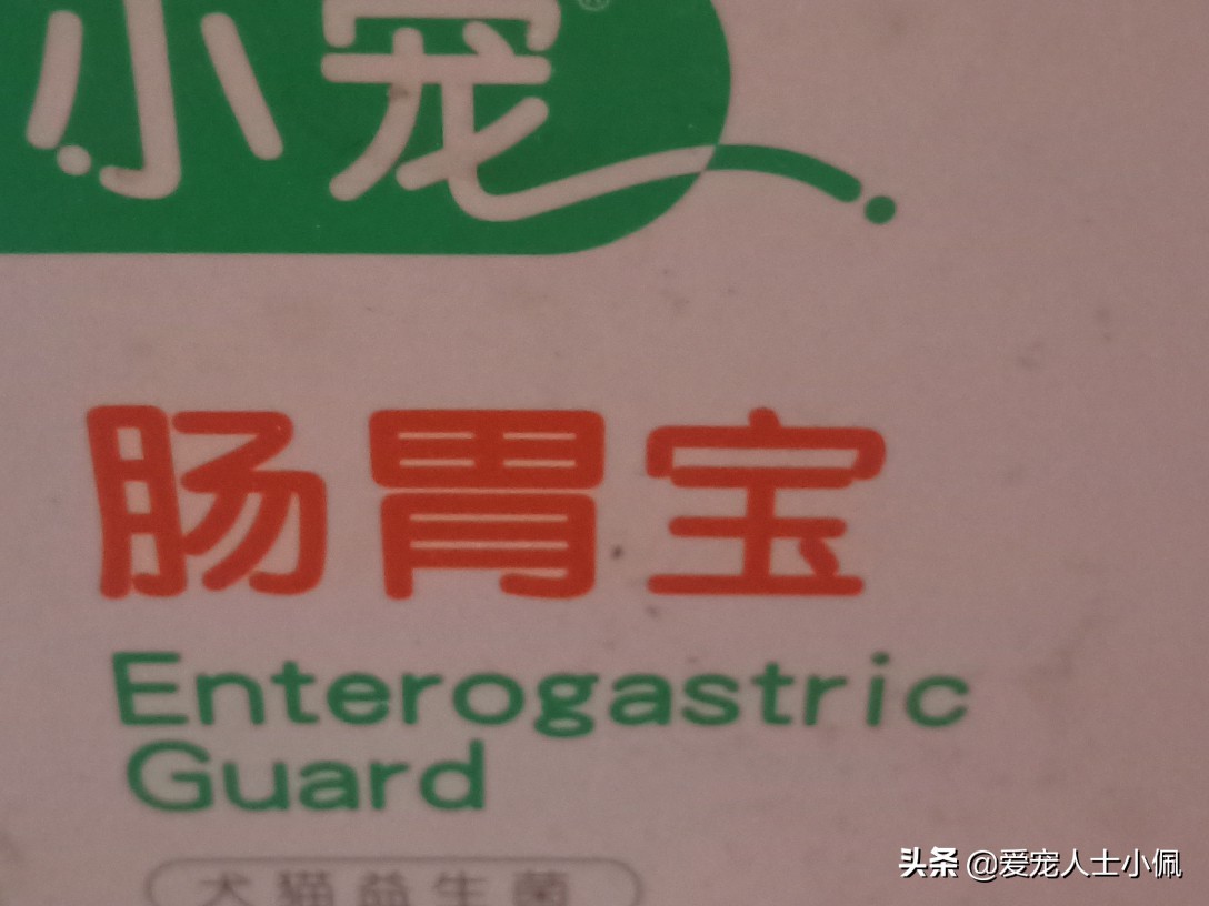 养狗需要具备哪些条件,养狗需要哪些条件