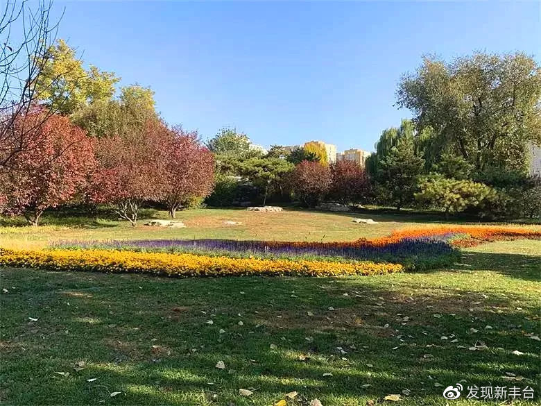 丰台赏秋景最好的地方,丰台赏秋好去处