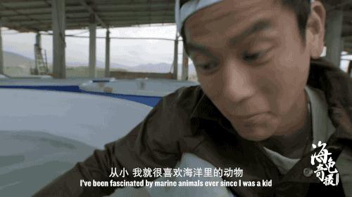 彭于晏苏有朋,彭于晏和苏有朋