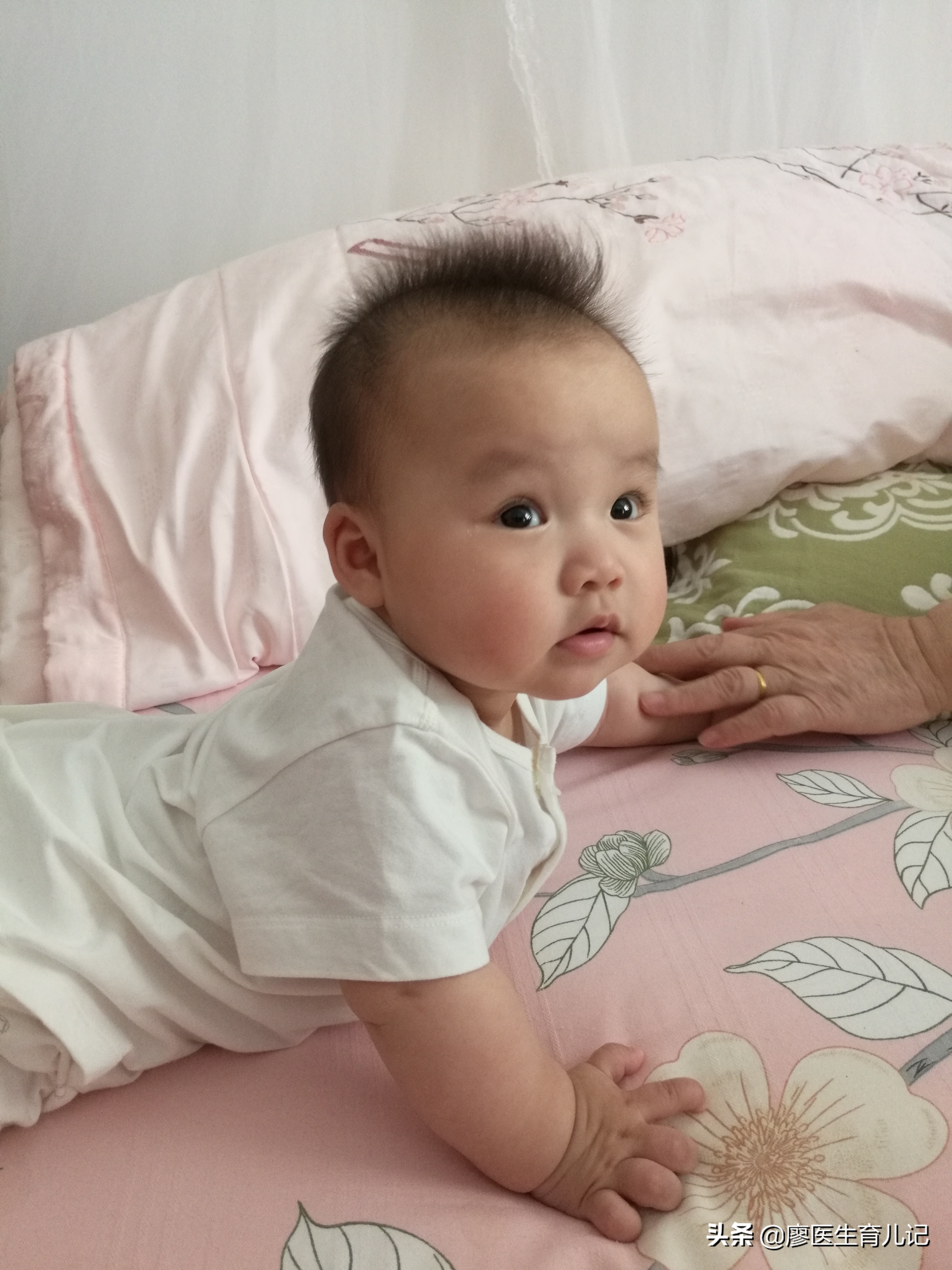 红脖子！我踩过的坑，您就不要再往下跳了。