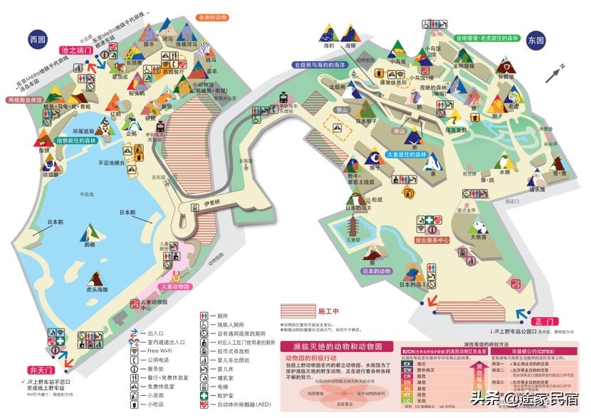 东京旅游必去迪士尼,东京旅游推荐去哪个岛