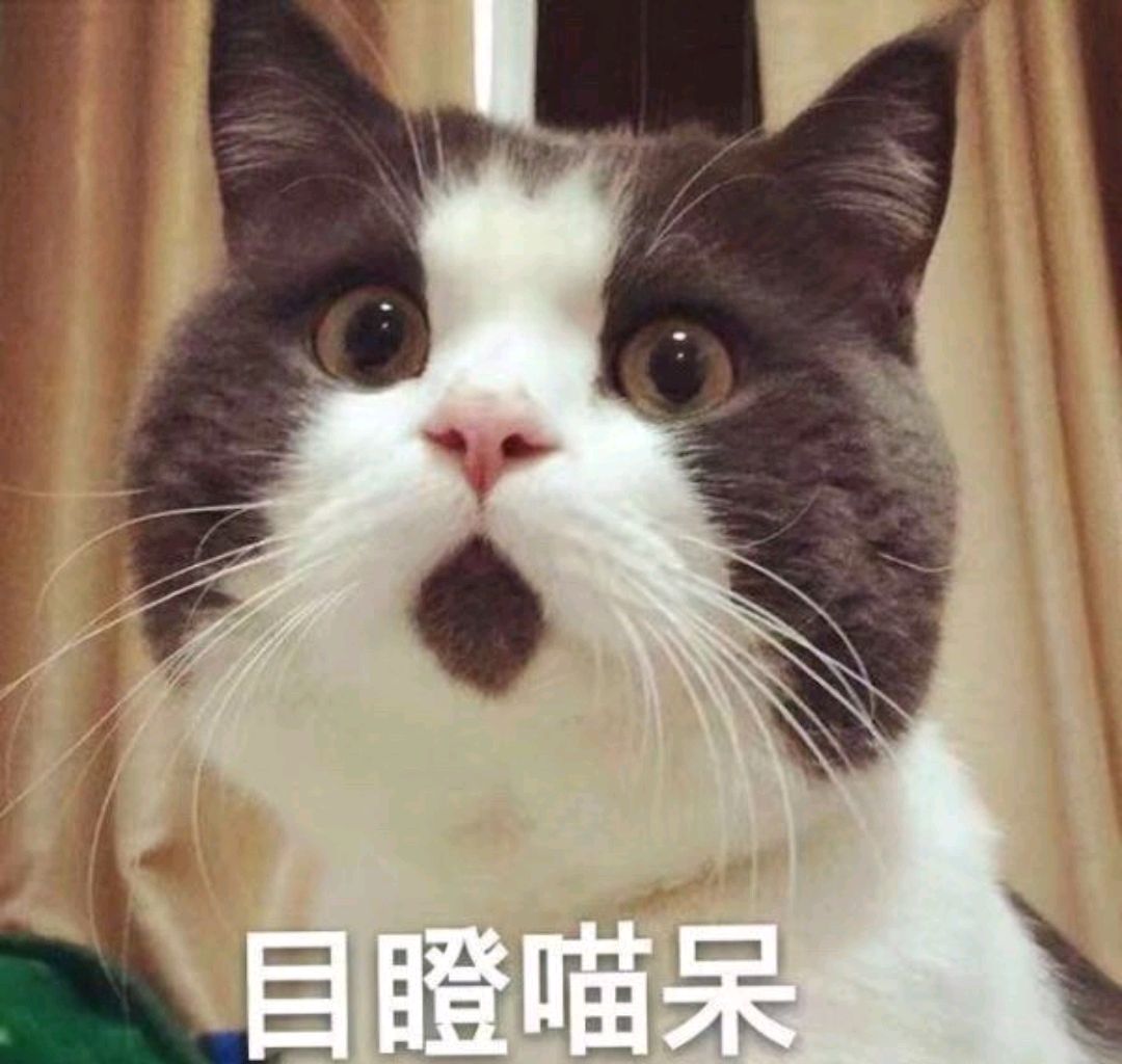 和钢铁直男相处的方式,与钢铁直男相处是一种怎样的体验