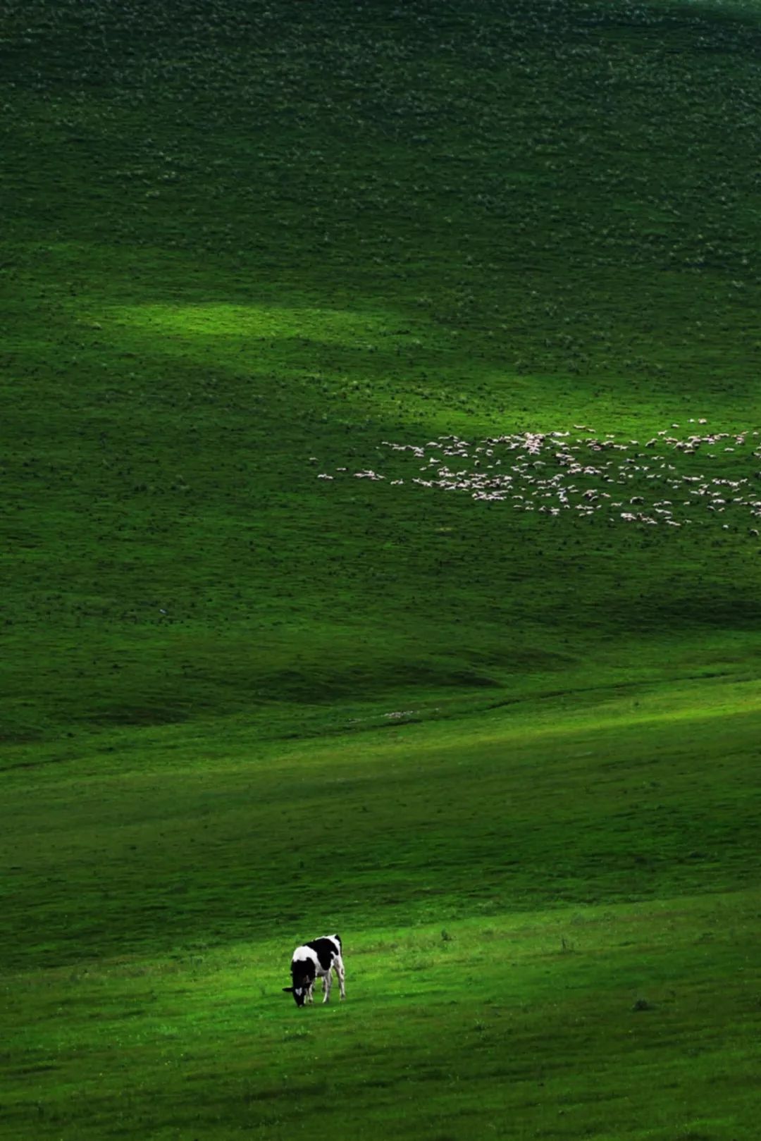 呼伦贝尔山区自然风景,呼伦贝尔沿途风景