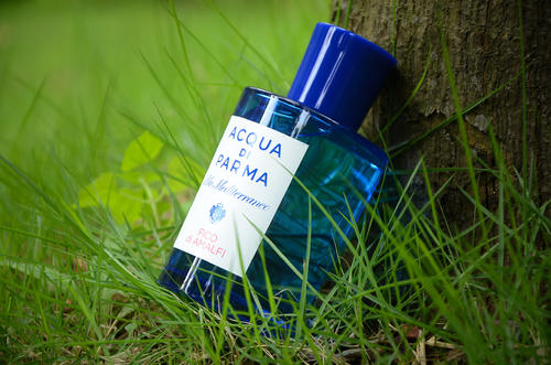 小众冷门的奶香调香水,平价小众花果香水推荐