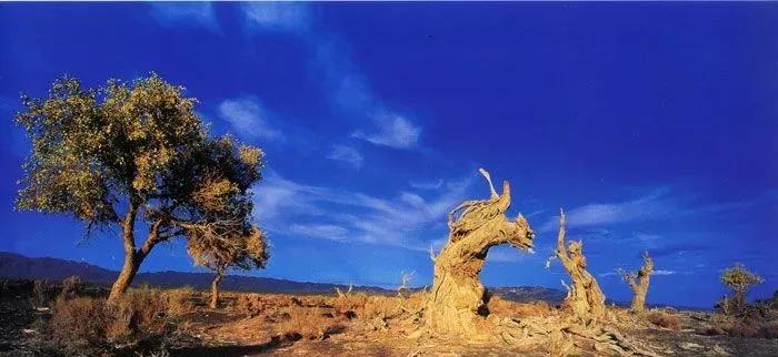 这些中国之最你知道吗,中国之最全部视频