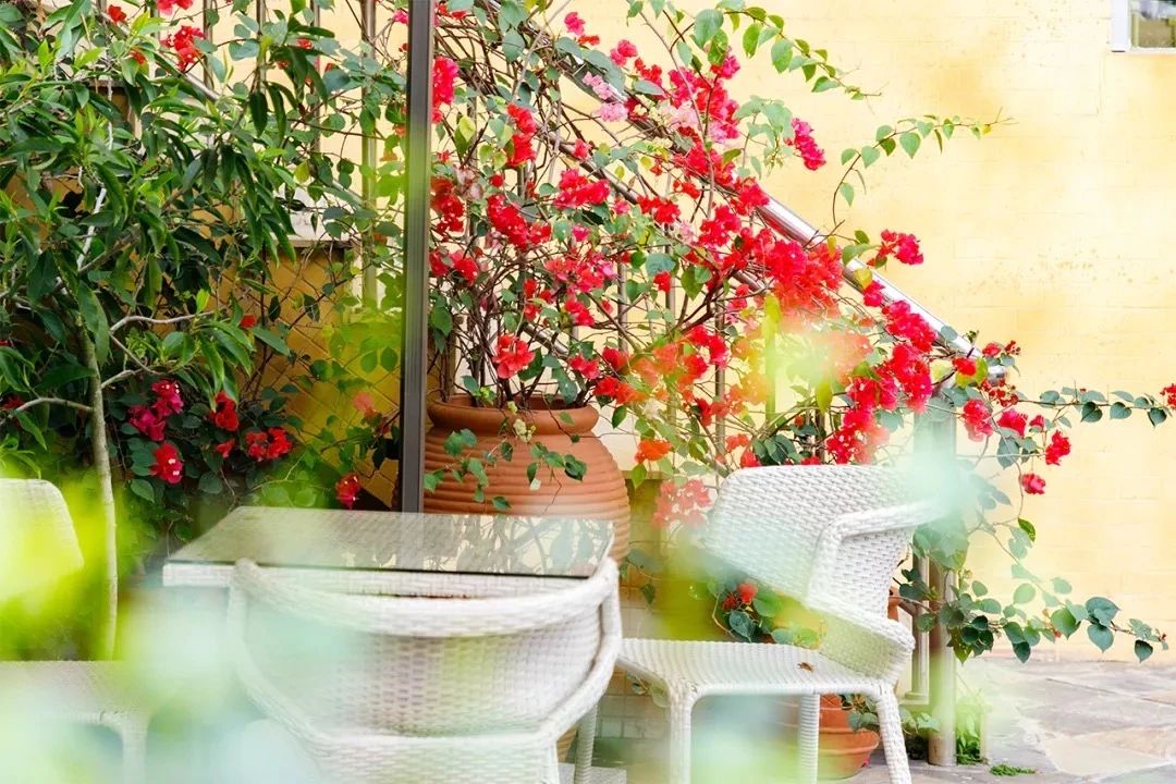 深圳11号线哪一站下车可以看海,坐深圳11号线去看海的地方