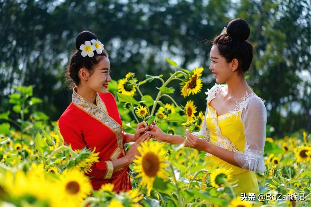 云南西双版纳到文山途经哪些景点,西双版纳适合6-12岁儿童的景点