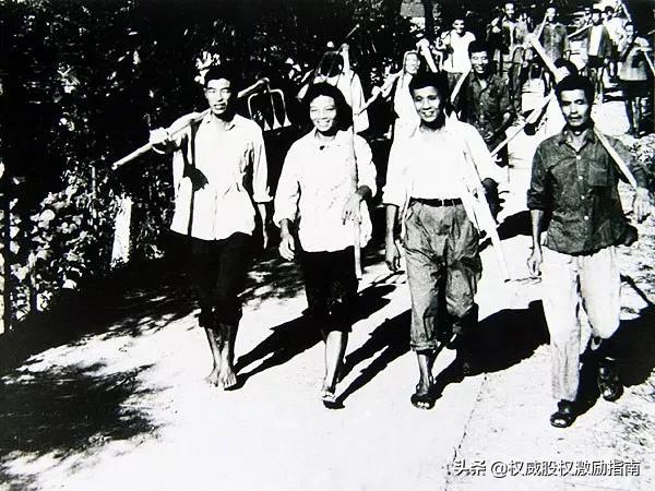 美的、安踏、格兰仕、雅戈尔、福耀玻璃....原来都源于乡镇企业