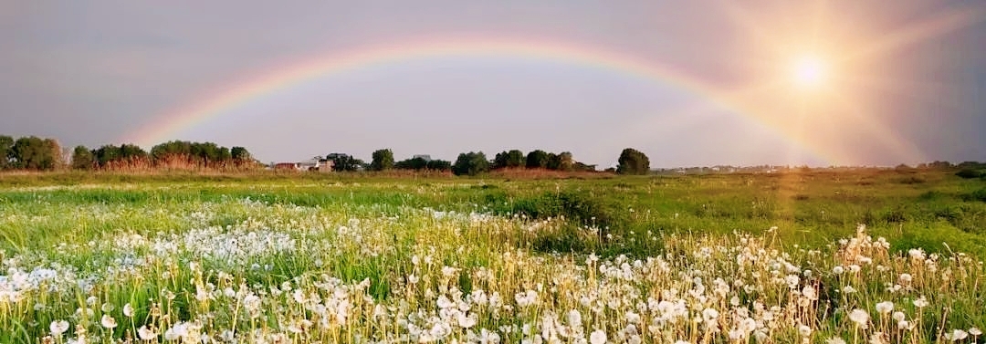 sofarsogood怎么翻译,sofarsogood怎么理解