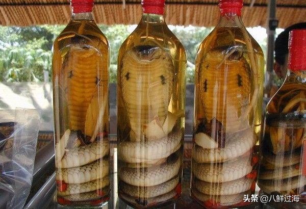 墨西哥国酒龙舌兰酒的制作过程,龙舌兰酒墨西哥国酒多少度