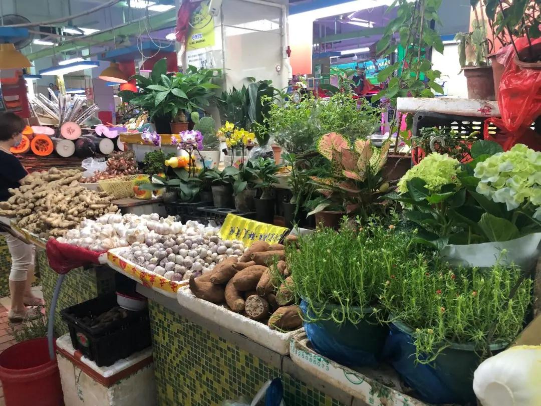 越秀|哪家档最信得过?天天在淘金肉菜市场买菜的街坊们,快来投票帮TA乘风破浪