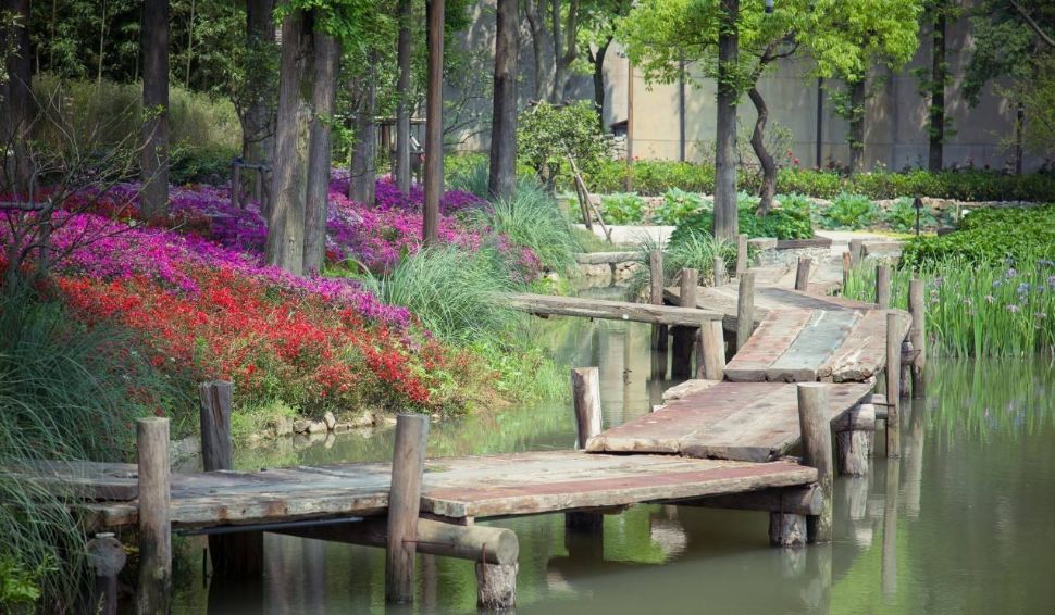 涔屾潙骞存帴寰呮父瀹㈤噺,涔屾潙鍙戝睍缁忛獙