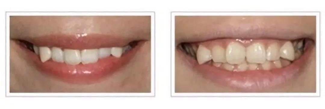 可可爱爱的小老虎能养吗,可可爱爱的猫科动物