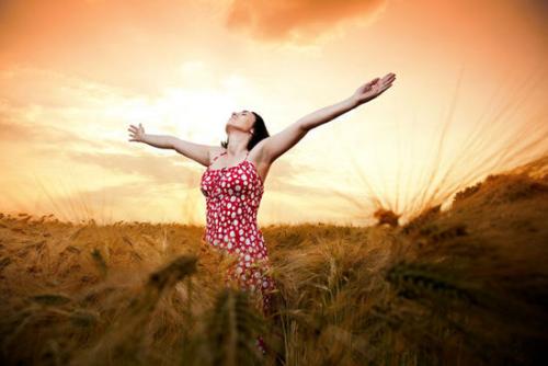 鏁欒偛澶寸瓑澶т簨,榛勬鍒拌崋宸炵殑楂橀搧