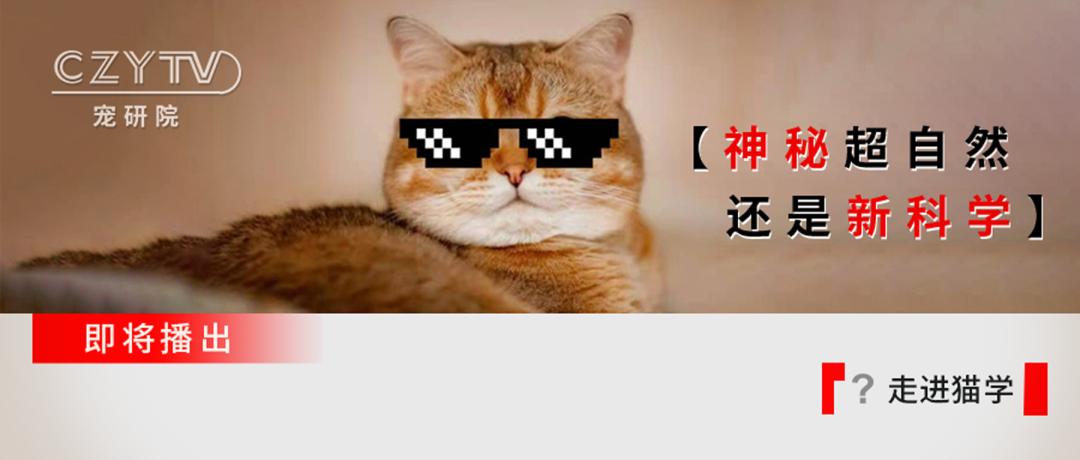 猫感染疱疹咳嗽,猫有眼屎打喷嚏怎么回事