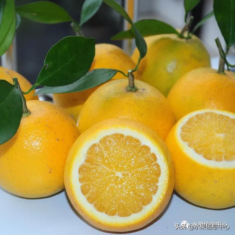 最好的橙子产地在哪里,中国橙子产地排名