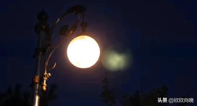 依赖手机,依赖手机会产生哪些不利影响