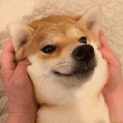 格格教新手唱歌气息入门教学视频,唱歌时气息的主导在腰部还是腹部