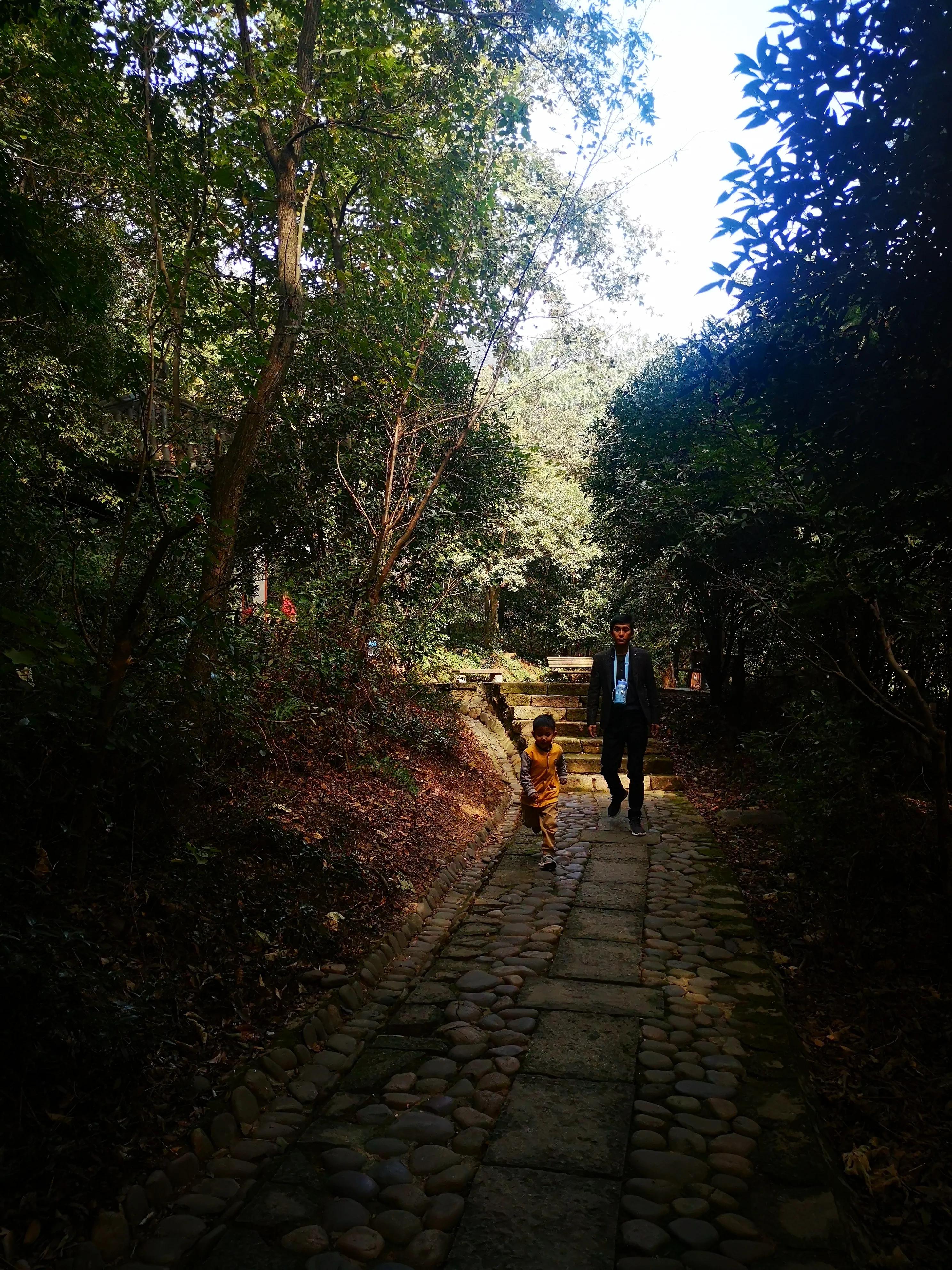 皋亭山爬山活动,皋亭山爬山入口在哪里