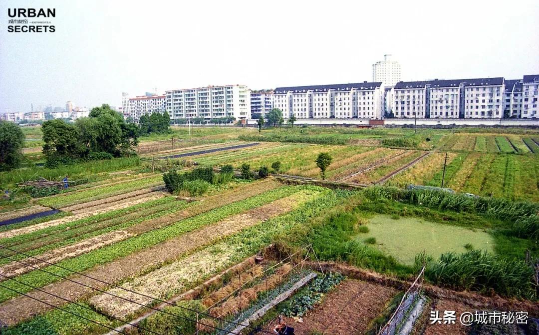 杭州旅游烟火气,杭州哪里还有江南风情