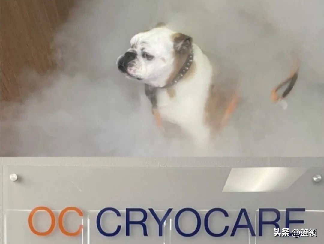 汤普森是一个怎么样的球员,巅峰汤普森是个什么样的人呢