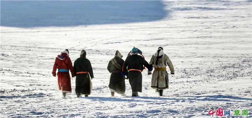 一起去看美丽的坝上草原,秋季坝上草原游记