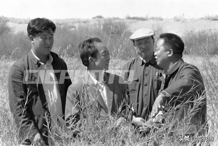 榆林市镇川镇老照片 (榆林市卫校老照片)